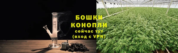 амф Бородино