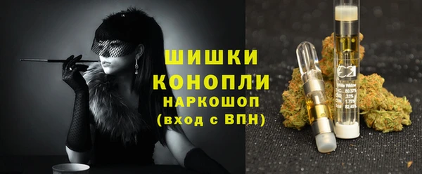 амф Бородино