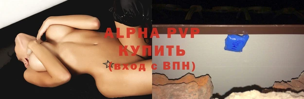амф Бородино