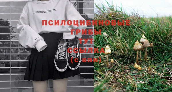 дживик Бугульма