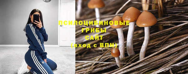 кристаллы Покачи