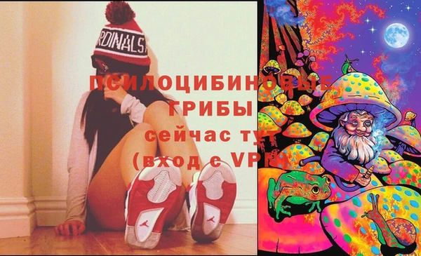 PSILOCYBIN Нея