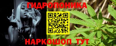 винт Тара