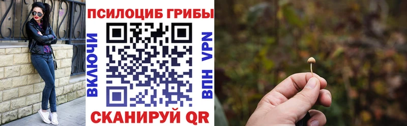 закладки  гидра ссылки  Псилоцибиновые грибы Psilocybe  Верхняя Пышма 