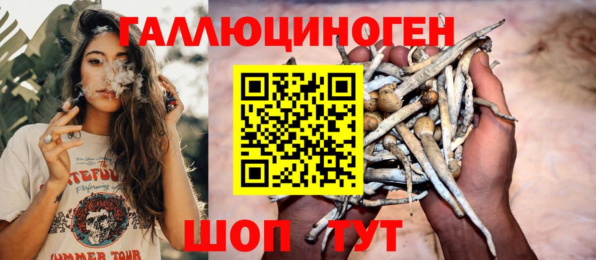 Псилоцибиновые грибы мухоморы Верхняя Пышма